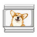 Charm Corgi