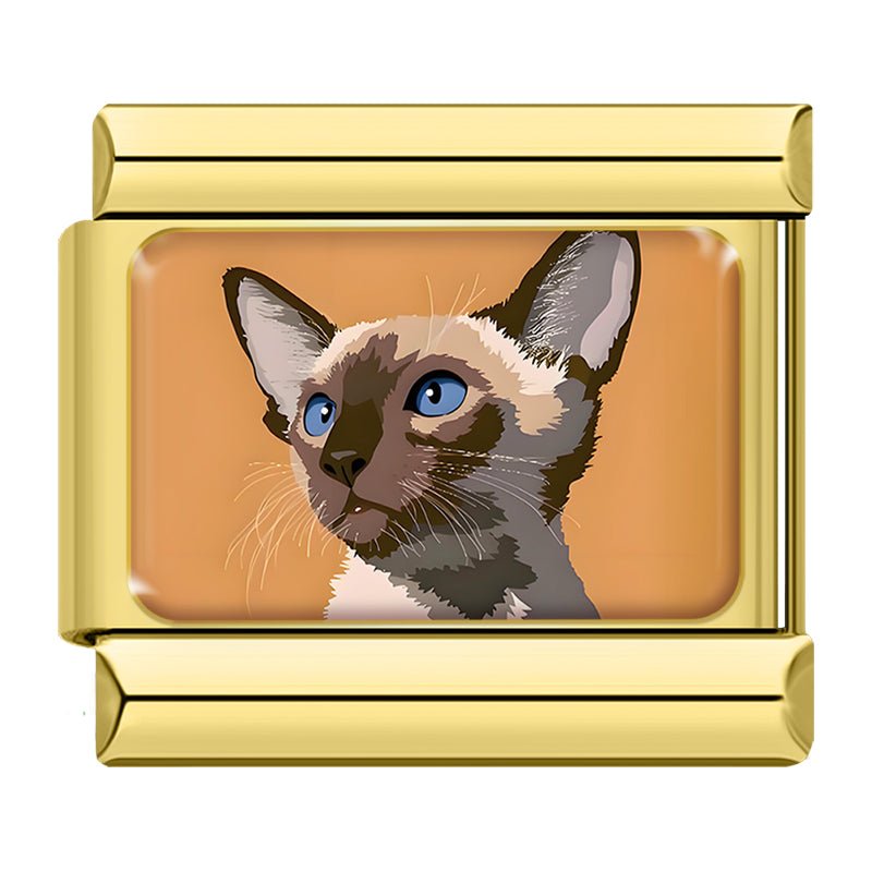 Charm Gatito Combinado - Italian Charms