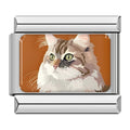 Charm Gato (Persa)