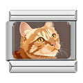 Charm Gato naranja
