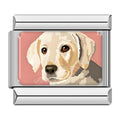 Charm Perro Labrador