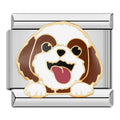 Charm Perro Shih Tzu