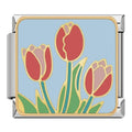 Bedel Tulpen