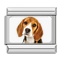Charm Beagle (Fondo Blanco)