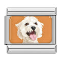 Charm Bichón Maltés