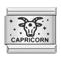 Capricorn Charm (Silver)