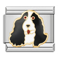 Charm Cocker Spaniel Inglés o Americano