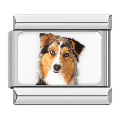 Charm Collie (Tricolor) - Italian Charms