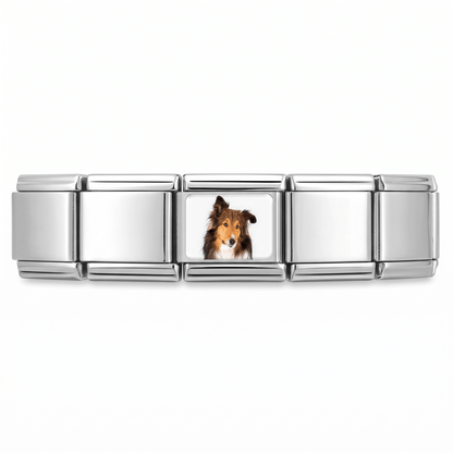 Charm Collie (Café) en pulsera italiana de eslabones