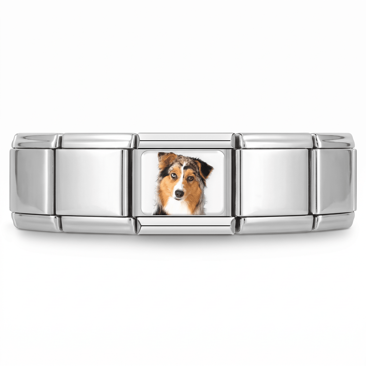 Charm Collie (Tricolor) en pulsera italiana de eslabones