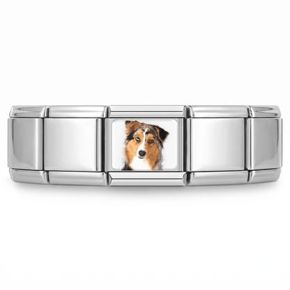 Charm Collie (Tricolor) en pulsera italiana de eslabones