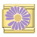 Bedel Lila bloem
