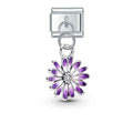 Bedel Lila bloem