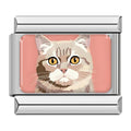 Charm Gato (Fondo Rosa)