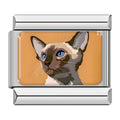 Charm Gato (Siamés)