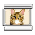 Charm Gato (Atigrado)