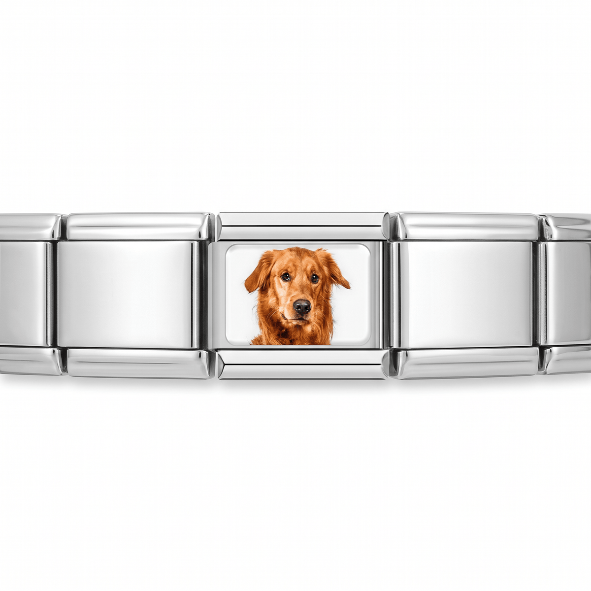 Charm Labrador en pulsera italiana de eslabones