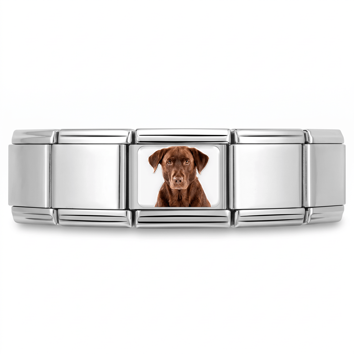 Charm Labrador Cafe en pulsera italiana de eslabones