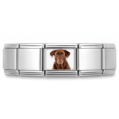 Charm Labrador Cafe en pulsera italiana de eslabones