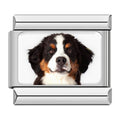 Charm Negro con blanco