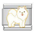 Charm Perrito Blanco