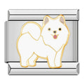 Charm Perro Pomerania