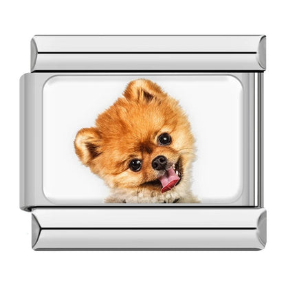 Charm Pomerania (Asomado) - Italian Charms