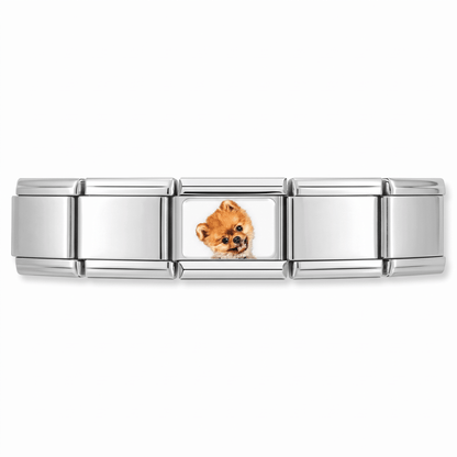 Charm Pomerania (Asomado) en pulsera italiana de eslabones