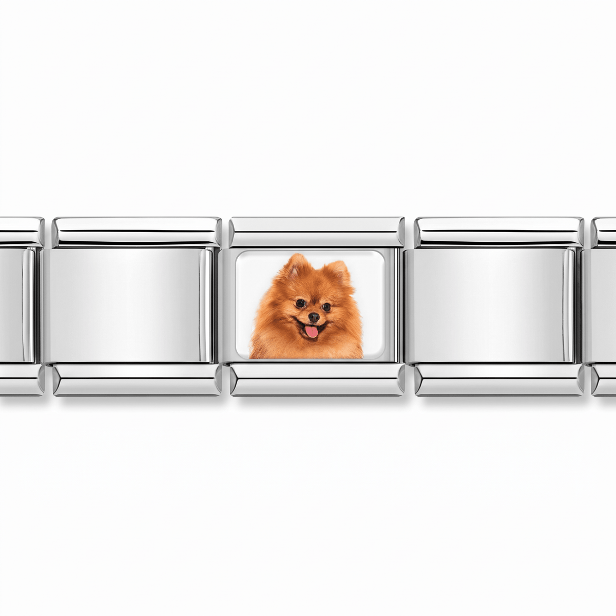 Charm Pomerania (de Frente) en pulsera italiana de eslabones