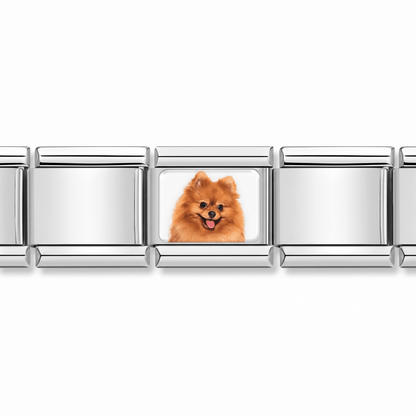 Charm Pomerania (de Frente) en pulsera italiana de eslabones