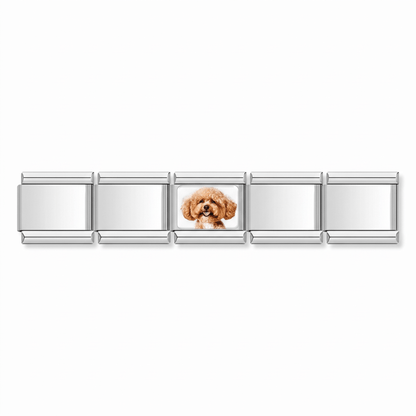 Charm Poodle (Plateado) en pulsera italiana de eslabones