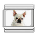 Charm Pug (Plateado)