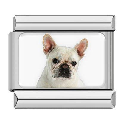 Charm Pug (Plateado) - Italian Charms