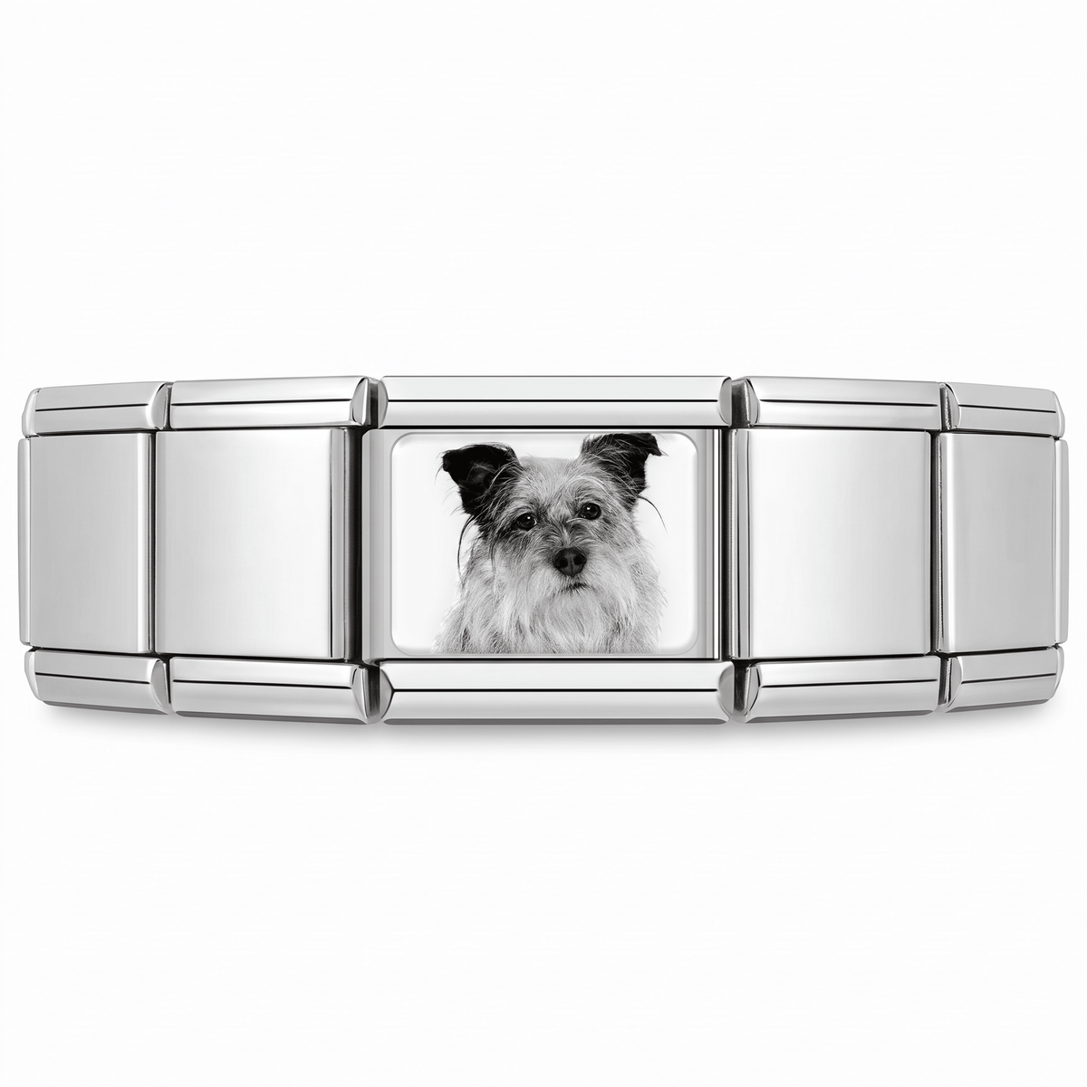 Charm Schanuzer en pulsera italiana de eslabones