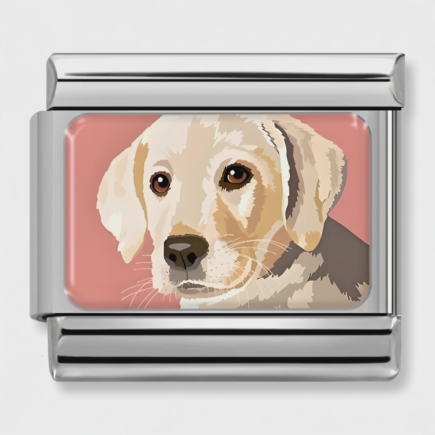 Video del Charm Perro Labrador