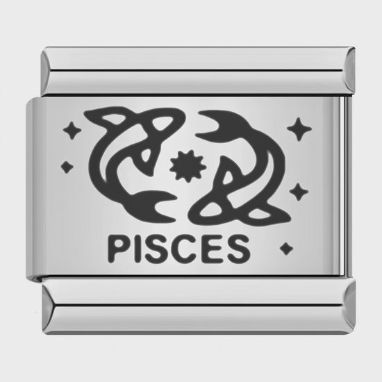 Video del Charm Piscis (Plateado)
