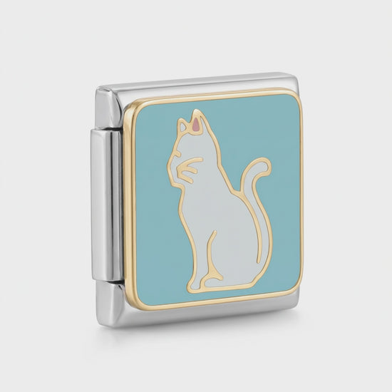 Video del Charm Gato Blanco