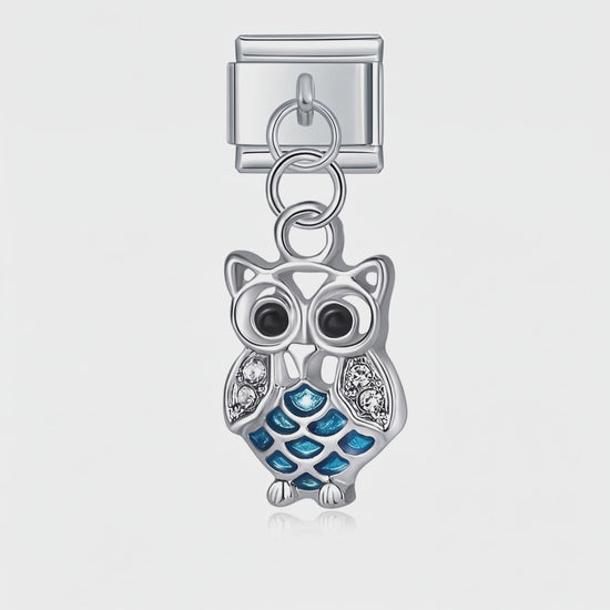 Video del Charm Buho