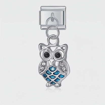 Video del Charm Buho