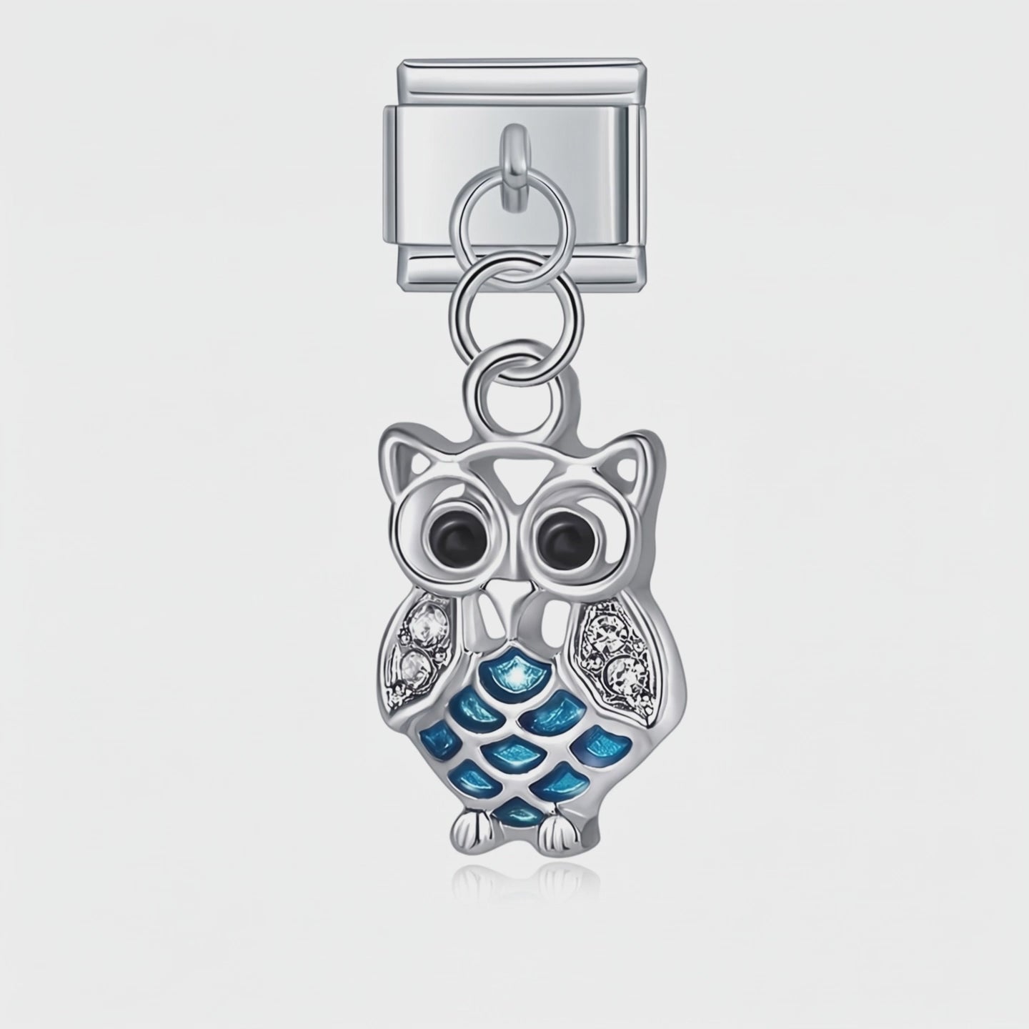 Video del Charm Buho