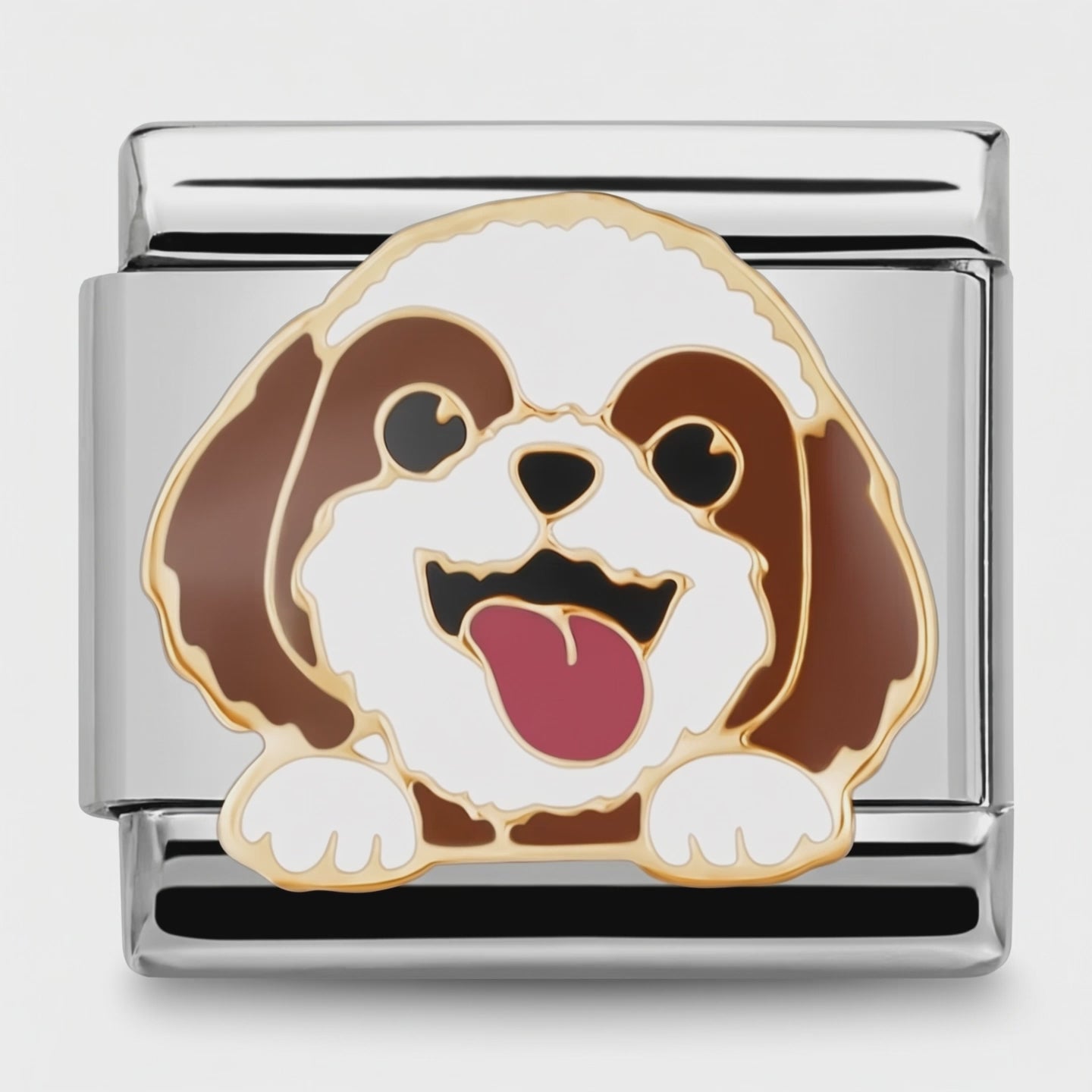 Video del Charm Perro Shih Tzu