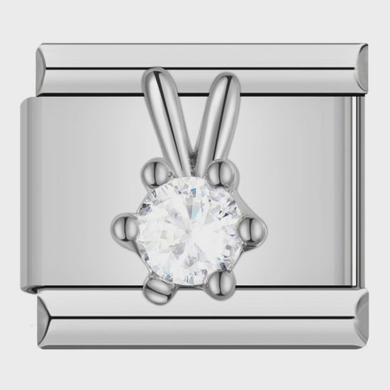 Video del Charm Conejito de Cristal (Plateado)