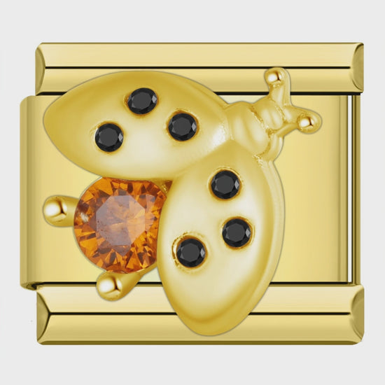 Video del Charm Catarina Brillante (Dorado)