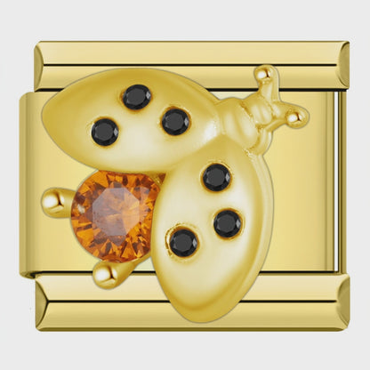 Video del Charm Catarina Brillante (Dorado)
