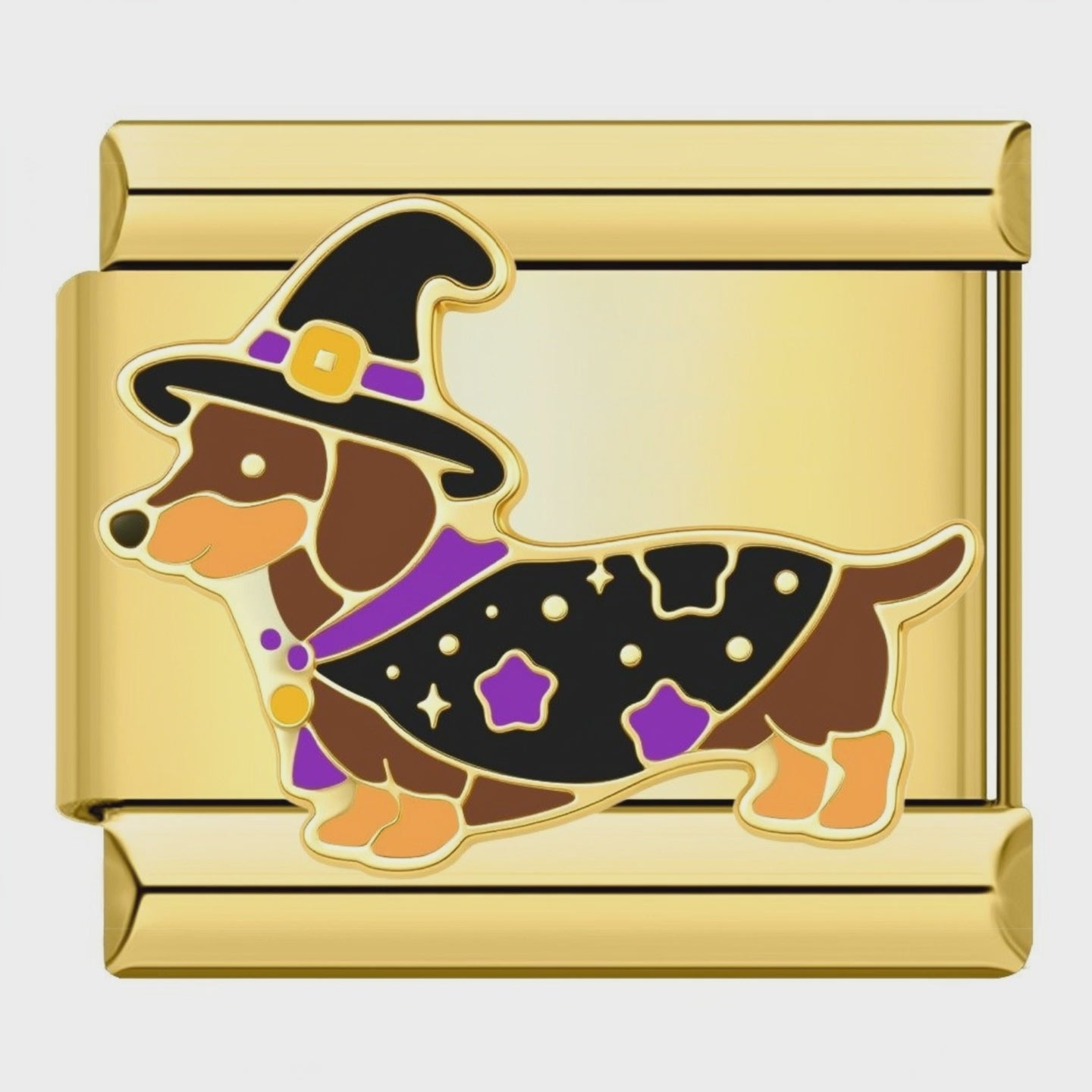 Video del Charm Halloween Perrito Disfrazado