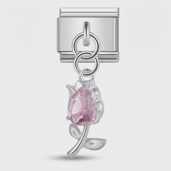 Video del Charm Rosa
