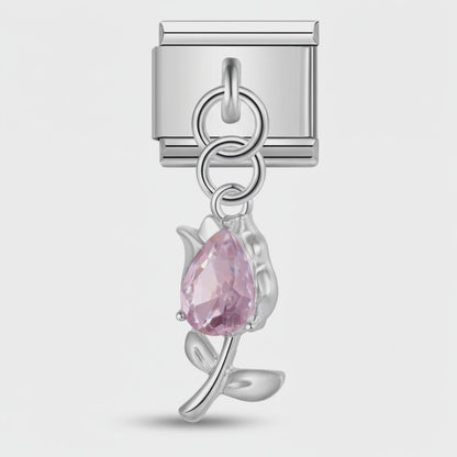 Video del Charm Rosa