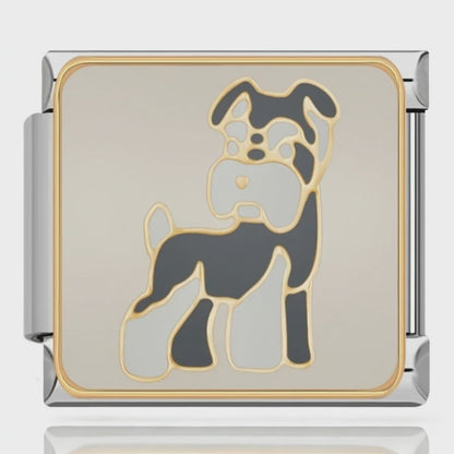 Charm Schnauzer – video