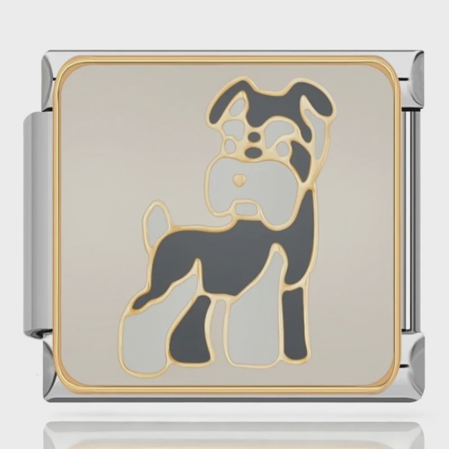 Charm Schnauzer – video