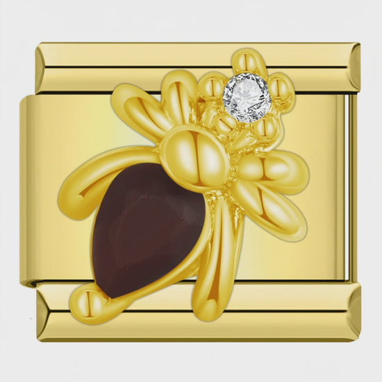 Video del Charm Abeja Ámbar